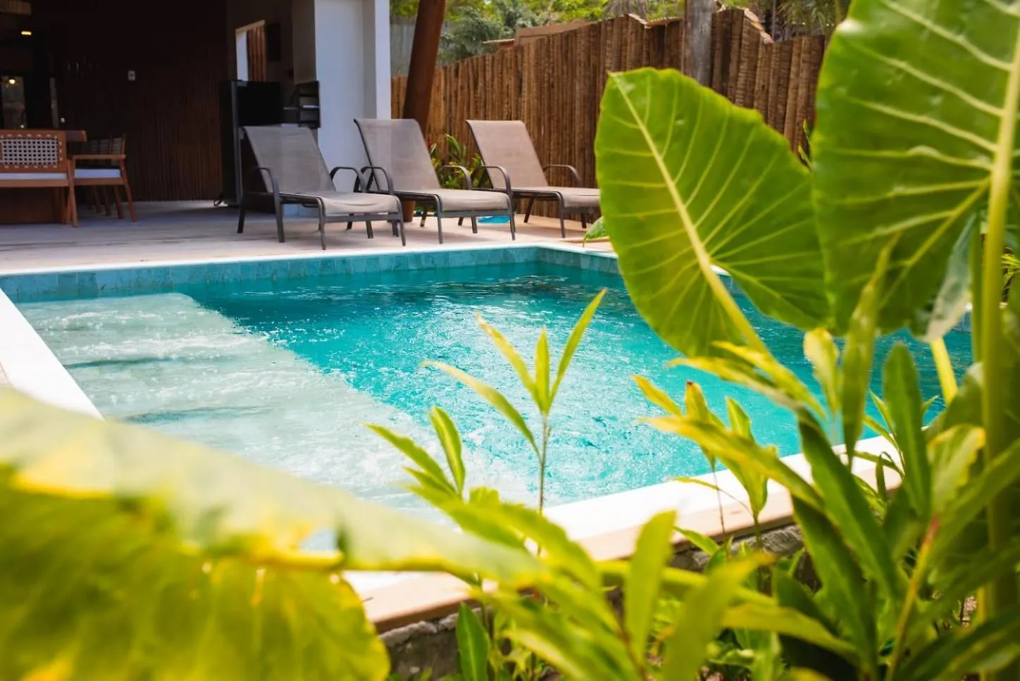 Casa Canto Das Arvores Em Trancoso